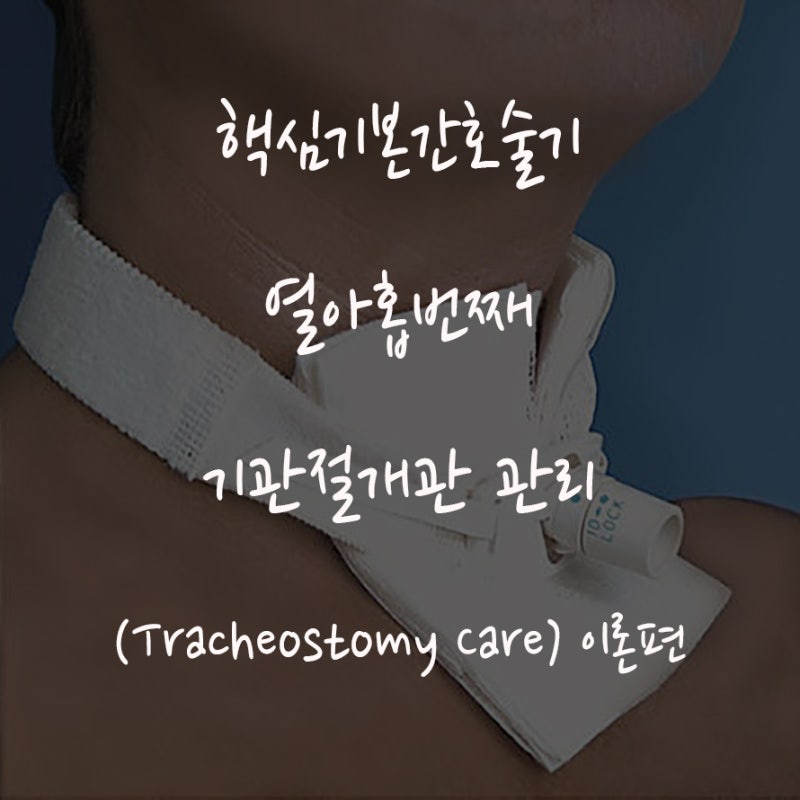 핵심기본간호술기 열아홉번째 : 기관절개관 관리(Tracheostomy care) / 이론편 : 네이버 블로그 핵심기본간호술기 열아홉번째 : 기관절개관 관리(Tracheostomy Care) / 이론편 : 네이버 블로그