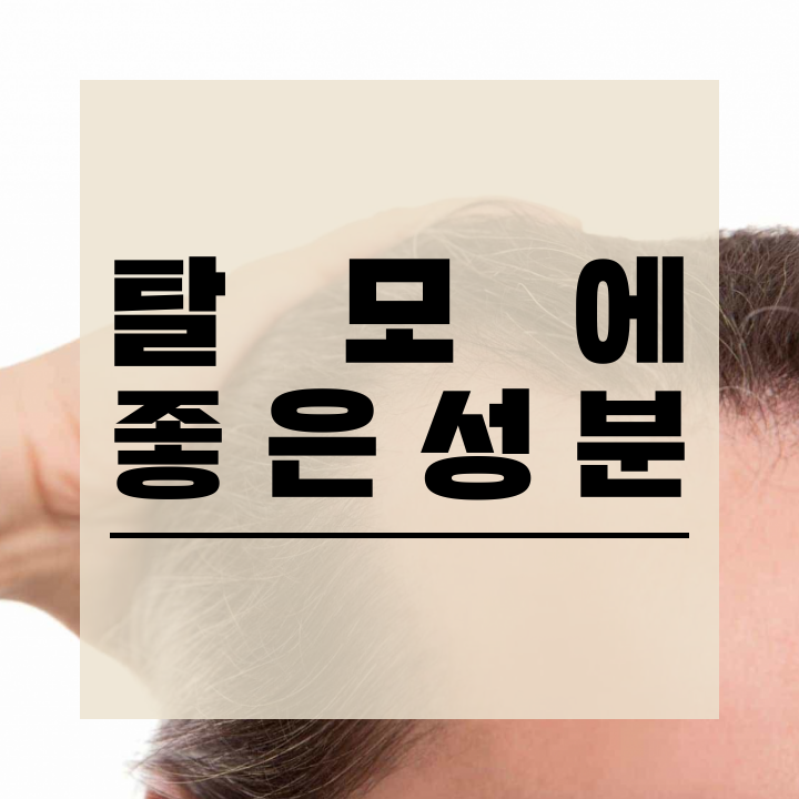  탈모에 좋은 영양제 확인하세요