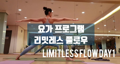  새로운 프로그램 [리밋레스플로우]를 소개합니다. [송파역요가][송파요가][송파동요가][에스라인요가byOtters]