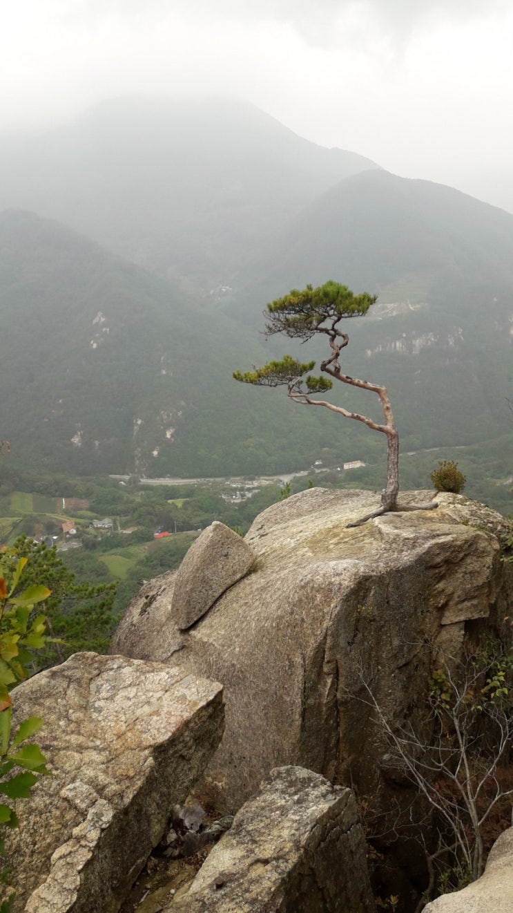  단양 도락산 ,월악산국립공원,