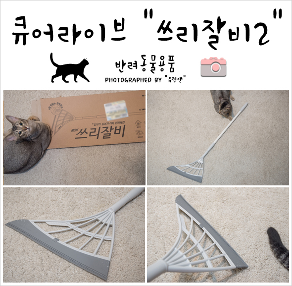 [반려동물용품 추천] 고양이털제거 쓰리잘비2 큐어라이브