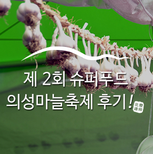  슈퍼푸드의성마늘 먹고 어벤져스로 변신 - 제2회 슈퍼푸드의성마늘축제 참여 후기 :: 경북축제, 경북의성, 의성슈퍼푸드마늘축제, 축제