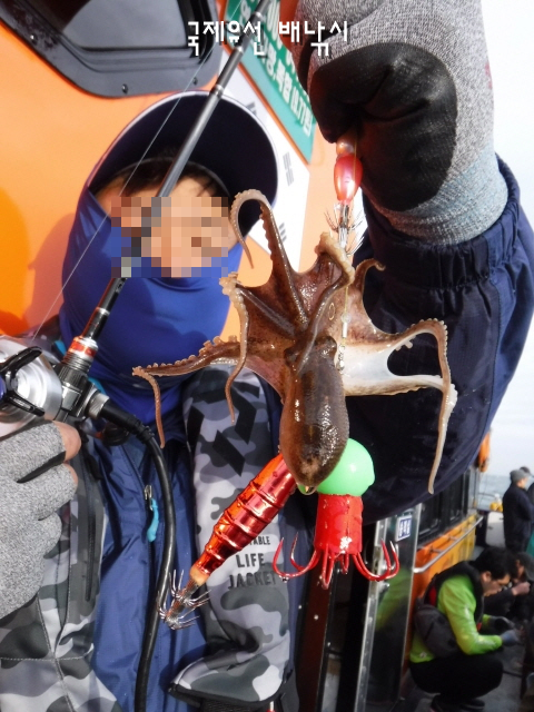  인천선상낚시 짜릿한손맛을 보여드립니다~