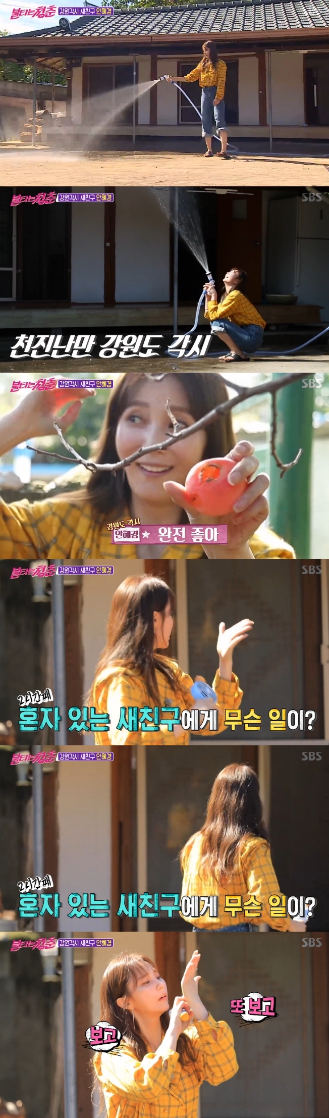  '불타는 청춘' 평창 출신 안혜경 등장 "어릴때 아궁이에 불 때고 살았다"
