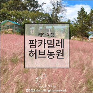  ［1박2일 태안/안면도 여행］#2. 태안 볼거리/놀거리_팜카밀레 허브농원