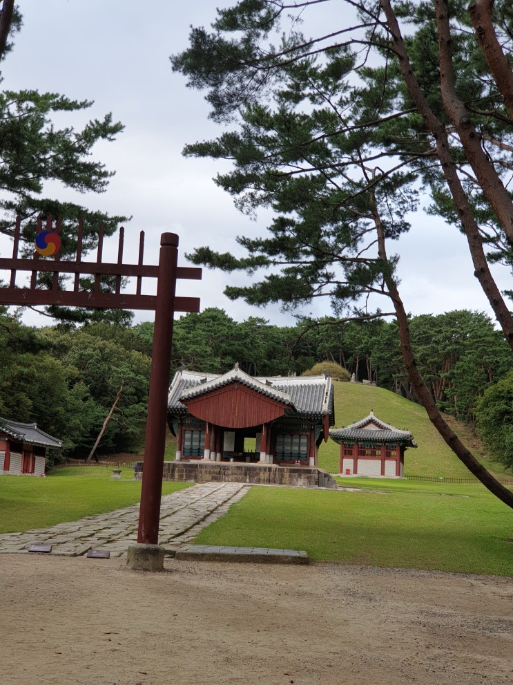  세계유산 조선왕릉 구리에 있는 동구릉 왕릉 소리길 산책