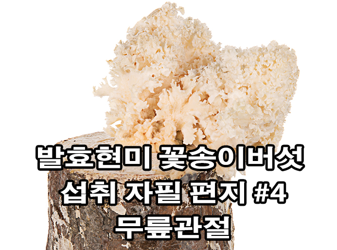  면역력 강화 발효현미 꽃송이버섯, 자필 편지 4 - 무릎관절