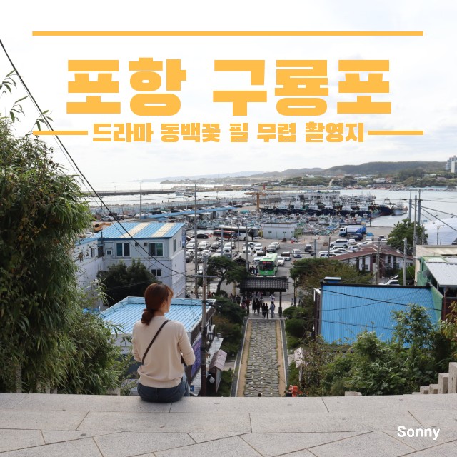  포항 데이트코스 구룡포 동백꽃 필 무렵 촬영지 둘러보고왔어요!(feat. 까멜리아)