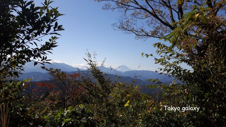 세계 제일의 산, 도쿄 타카오산의 매력
