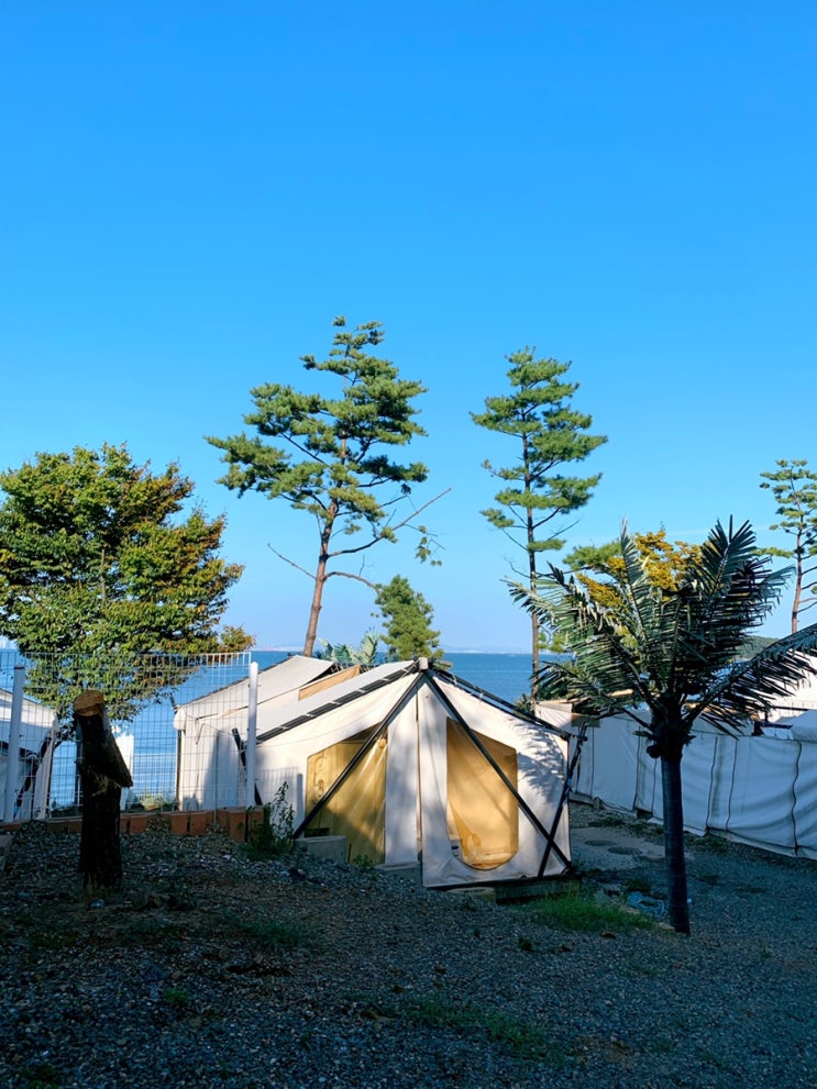  1박2일 영흥도 & 선재도