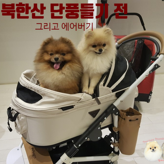  북한산 단풍이 물들기 전~