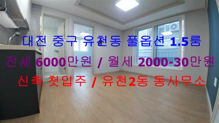 (대전 중구 유천동) 크기가 크게 나온 신축 첫입주 ! 풀옵션 1.5룸 완전 저렴한 전세 ,월세 모두 가능한 매물입니다 ~! (대전 중구 유천동) 크기가 크게 나온 신축 첫입주 ! 풀옵션 1.5룸 완전 저렴한 전세 ,월세 모두 가능한 매물입니다 ~!