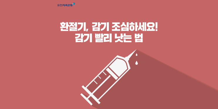  환절기 감기 빨리 낫는 법, 기침 멈추는 법, 감기 증상에 좋은 음식은?