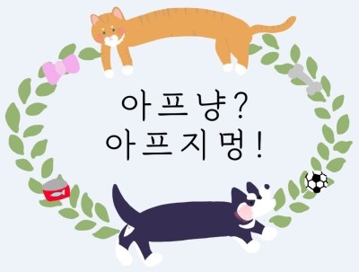  고양이 혈뇨, 피오줌 수술 전문 (입원, 수액, 카테터, 강남 24시 동물병원) 