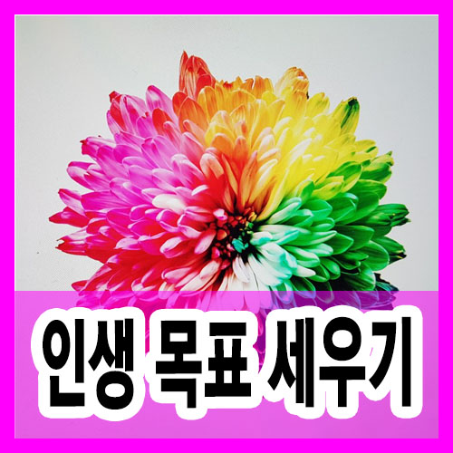  인생의 목표 행복해지는 삶의 목표세우기 노차지강의