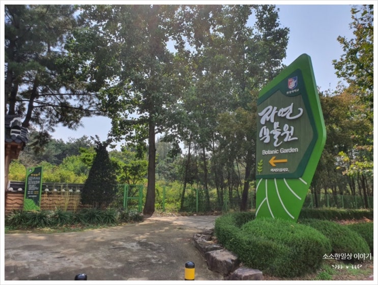  전북 익산 원광대학교 자연식물원, 식목원 피크닉 데이트