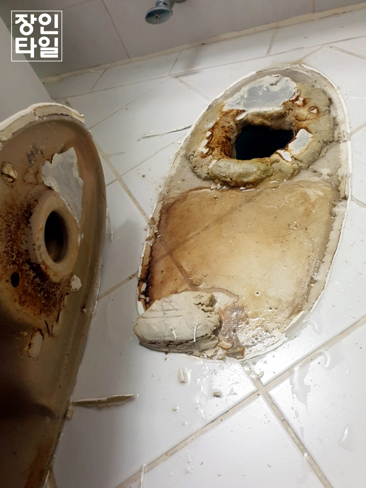  양변기교체 설치, 시공할때 주의사항 대전 장인타일