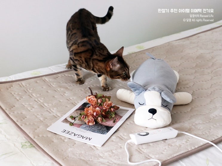 전기요 추천 환절기 필수 아이템 이메텍 전기요. 따뜻해요~
