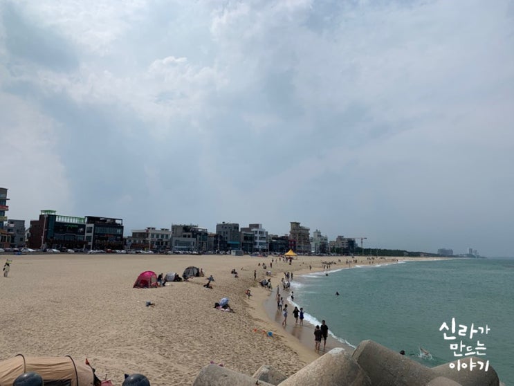  강릉여행  안목해변구경~~