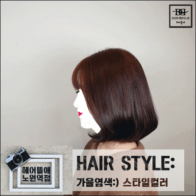  2019년 가을 헤어 컬러 모음(헤어뜰애 노원역점 2호점 서나쌤)