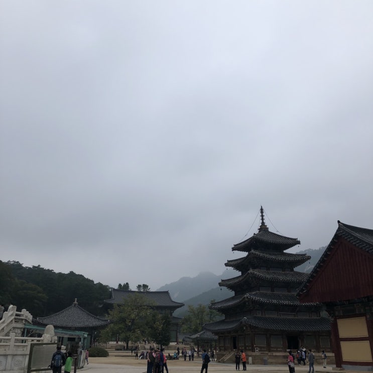  가을 산행 ::: 속리산(19.10.05~19.10.06)