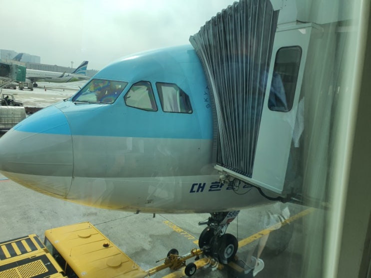  제주도 여행1일차