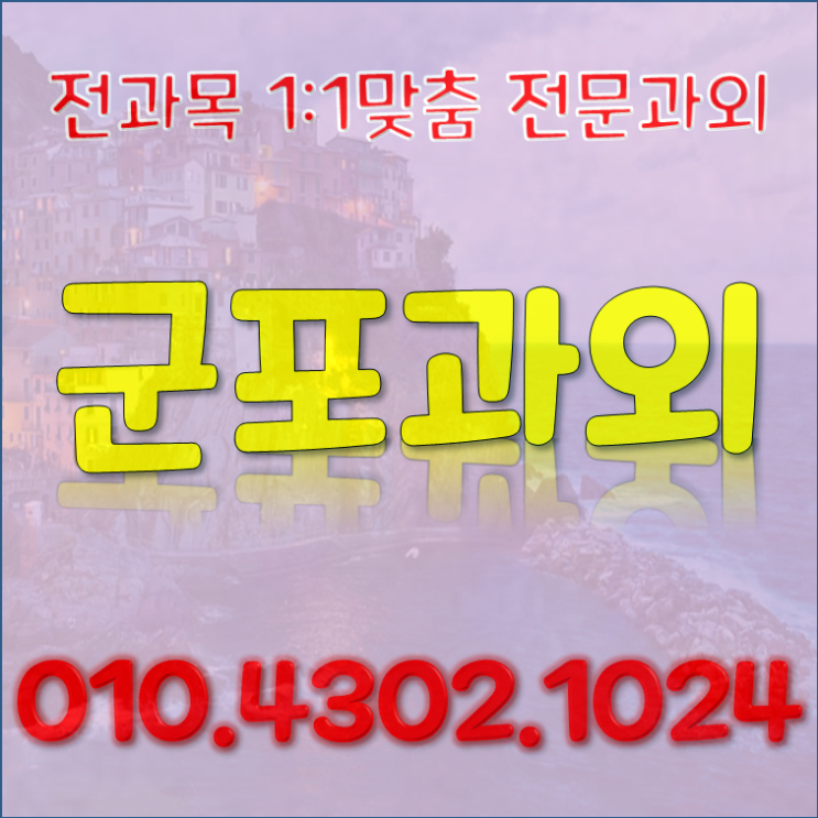  군포시 과외 수업 영어과외 대야미 당정동 수학과외 미친지도력
