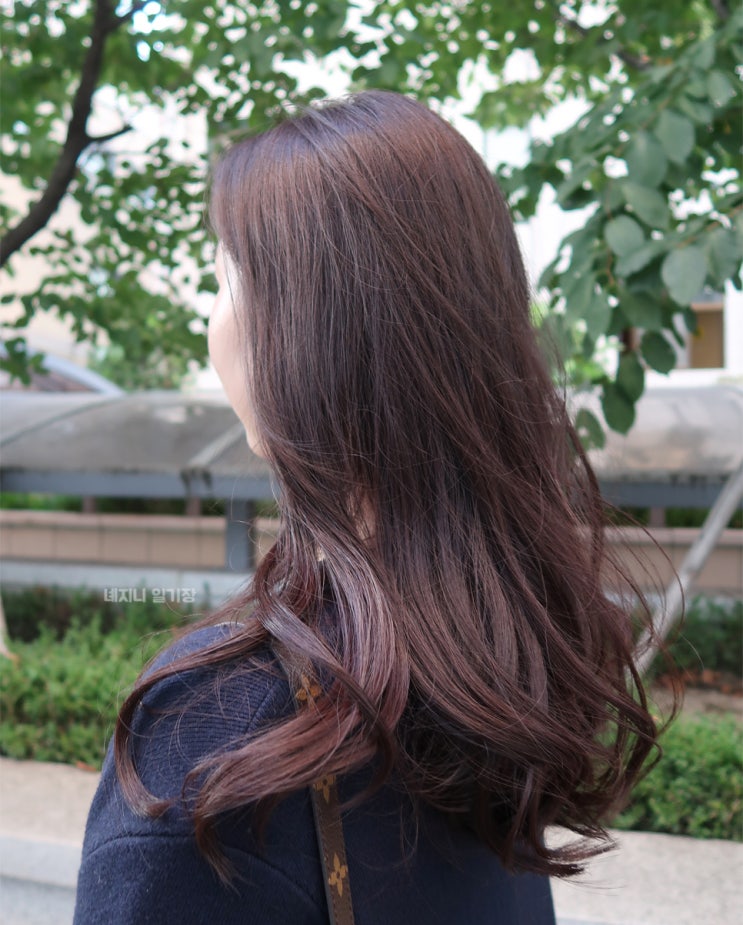 미아사거리 미용실 티지헤어 오테르미아점에서 초코브라운 염색 & SOS클리닉 받은 후기! by 은비쌤 미아사거리 미용실 티지헤어 오테르미아점에서 초코브라운 염색 & SOS클리닉 받은 후기! by 은비쌤