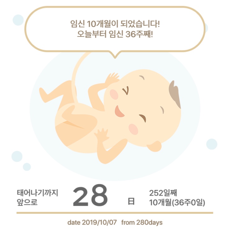  임신 36주차(19.10.07~10.13)_진짜 막달 시작!