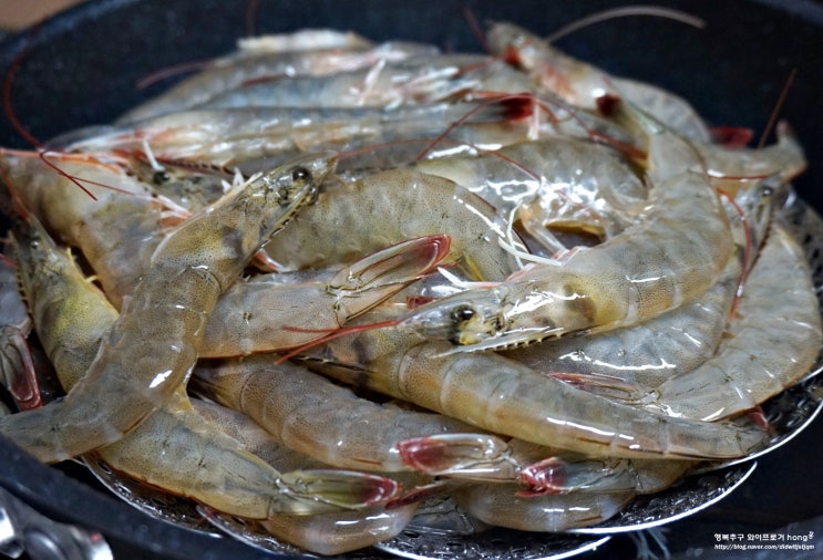  광주 두암동횟집 살아있는 대하 포장, 찌는 시간~