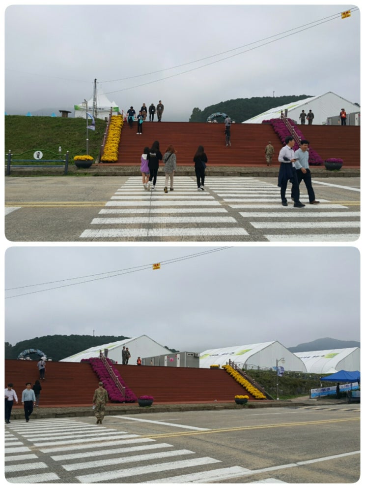  2019지상군페스티벌 참관