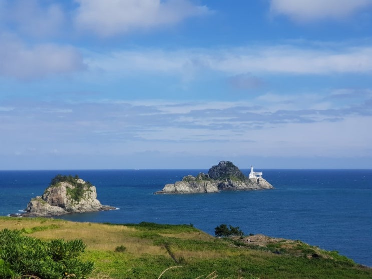  그대에게 던지는 사랑의 그물  이외수 산문집