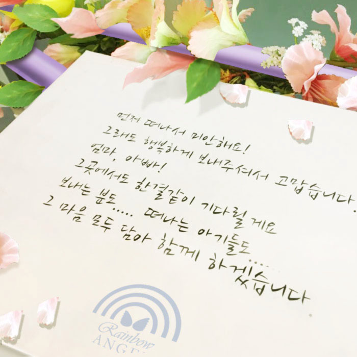  도봉구 강북구 노원구 구리 남양주 강아지장례 고양이장례식장은 가장 믿음가는 곳에서~