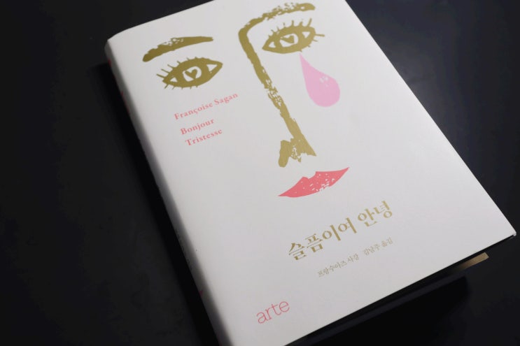 프랑수아즈사강, 슬픔이여 안녕 - 감정의 끝과 끝을 달리다