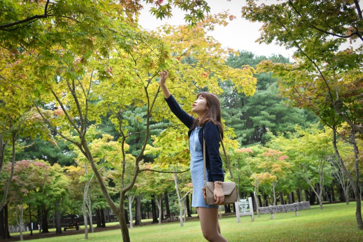  춘천 남이섬 여행코스 가을을 담아~ (새벽 단풍선 운항 10월 12일-11월 10일)