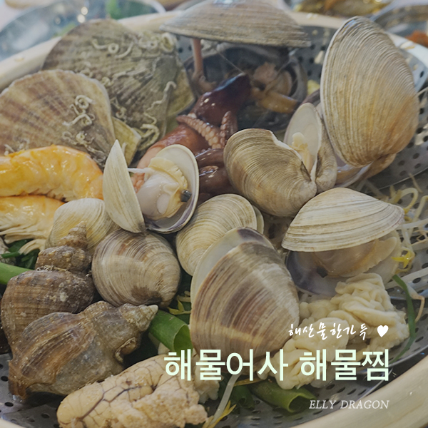  의정부 숯불 생선구이 해물찜 : 해물어사