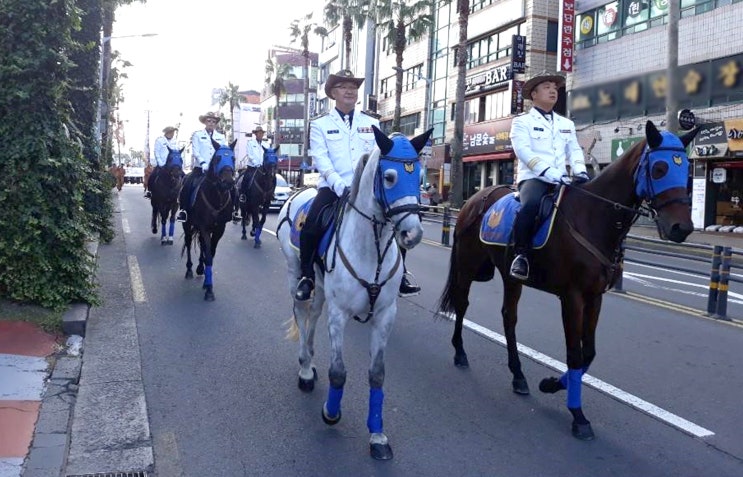  제주 고마로 마문화축제