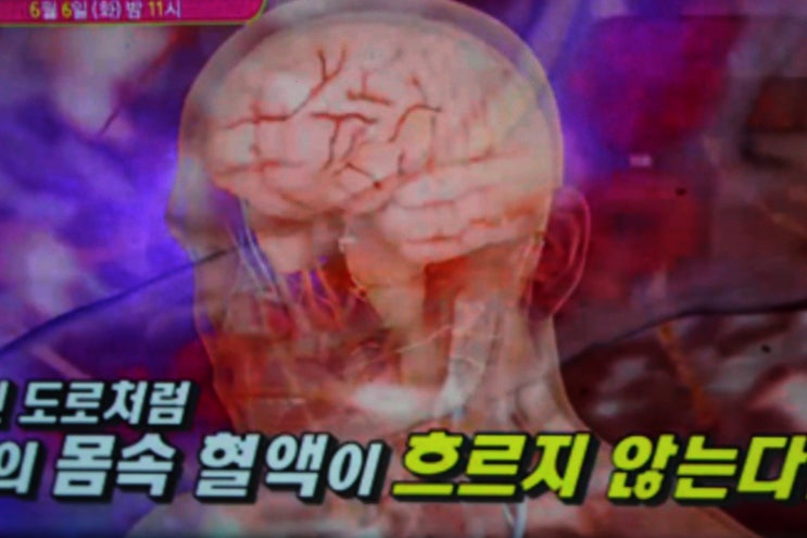  혈액순환 음식 고민할 필요 없다?!