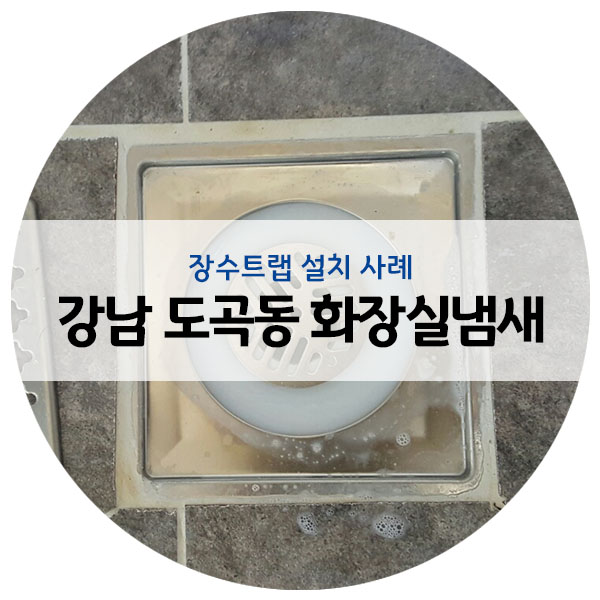  강남구 도곡동 화장실 하수구 냄새 제거 현장 다녀왔습니다.