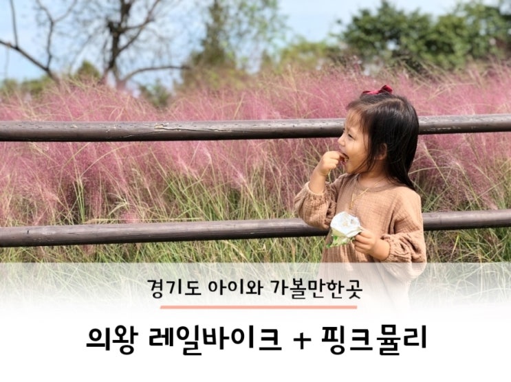 경기도 아이와 가볼만한곳 : 의왕 레일바이크 + 핑크뮬리