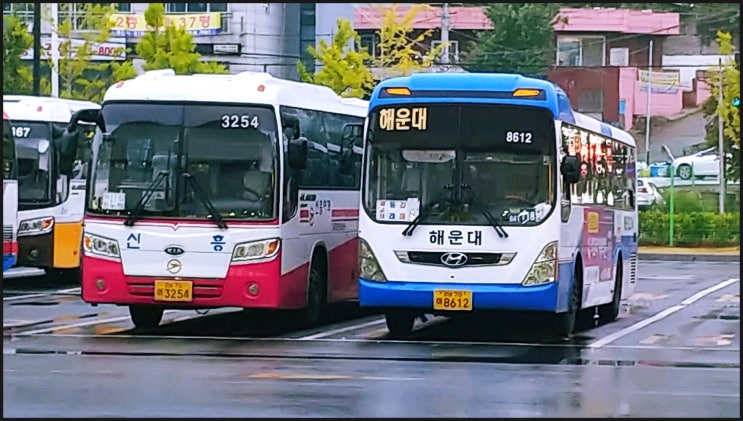 김해시외버스터미널 시내, 시외버스 잡사(191001)