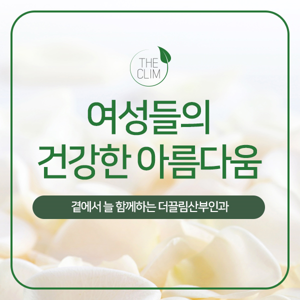  산부인과 질초음파 검사 명동 편안한곳