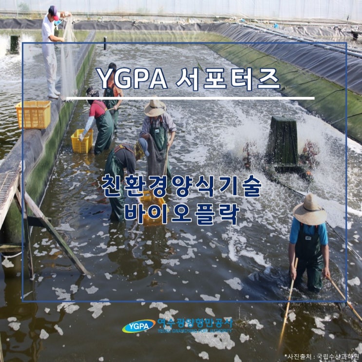  [YGPA 서포터즈] 친환경양식기술 바이오플락