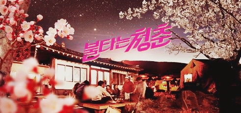  불타는 청춘 안혜경 새로운 친구로 캐스팅 그녀의 근황 알아보기