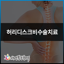  허리디스크 비수술 치료는 어떤 방법이 있나요?