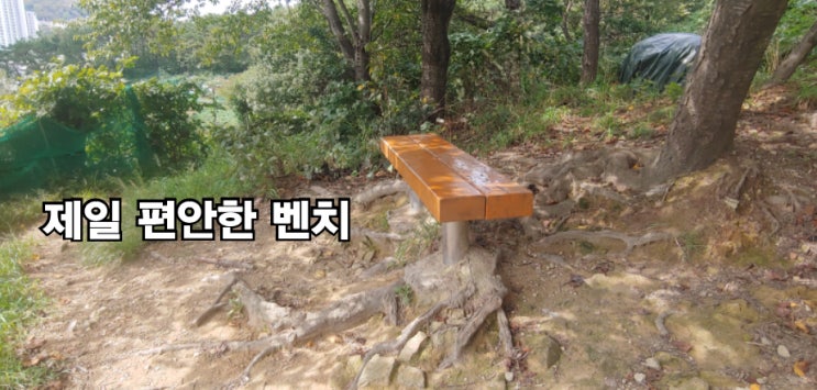  가을 뒷동산에 올라가니 체육공원이...