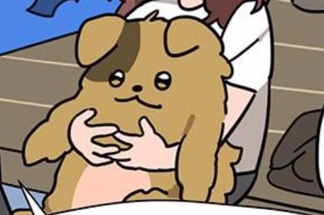  멍멍아 고냥아 사랑해!