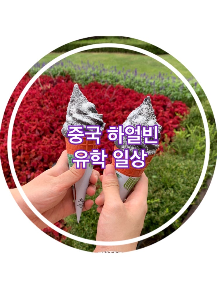  [중국 하얼빈 유학] 9월 일상 (음식사진 많음주의) + 백두산과 대련여행