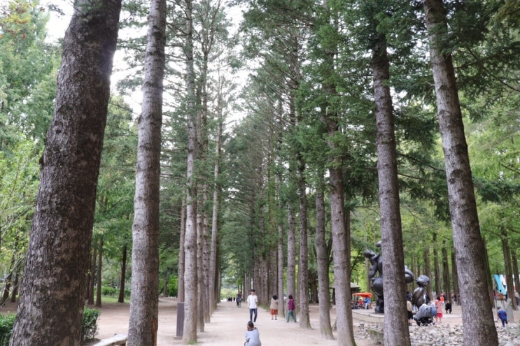  가평여행, 가볼만한곳 남이섬(나미나라공화국)