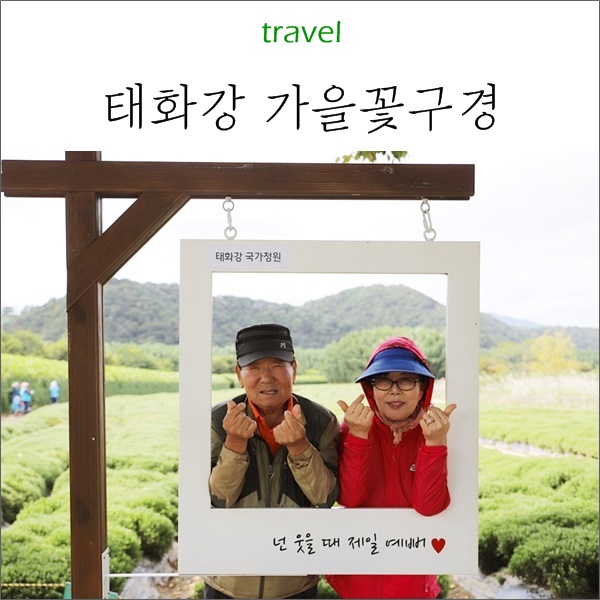  부산근교 나들이  울산 태화강 국가정원 :: 가을꽃 억새와 수크령의 향연 즐겨요